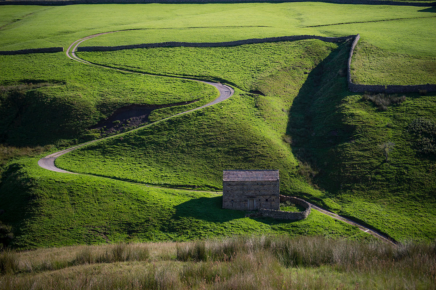 photo "***" tags: nature, landscape, 