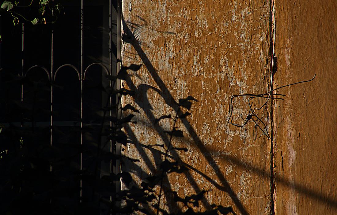 photo "***" tags: , 