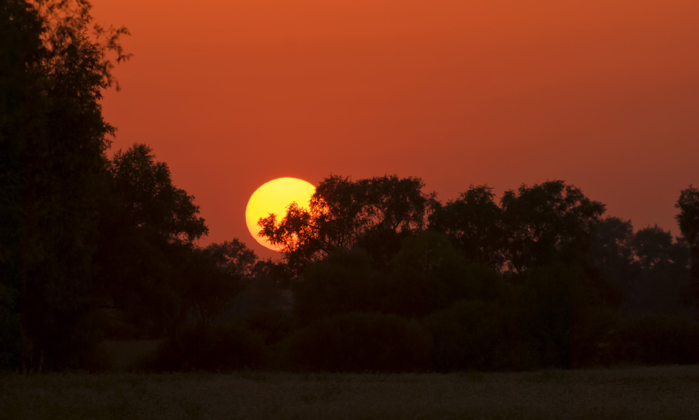 photo "***" tags: landscape, evening, sky, summer, sun, sunset, Таир 33, настроение