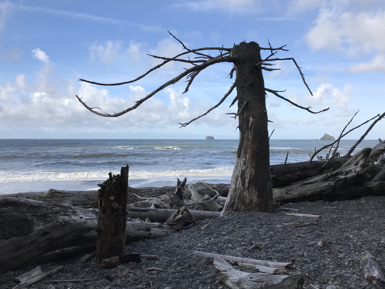 photo "Rialto Beach" tags: landscape, 