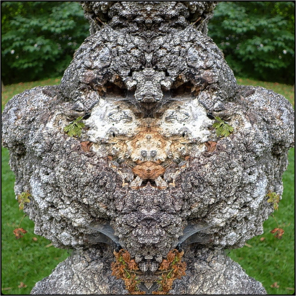фото "dickhead" метки: digital art, природа, макро и крупный план, close-up, mirror, tree