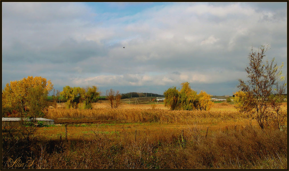 фото "Окрест, г. Кореновск. Осень." метки: пейзаж, Кубань, осень