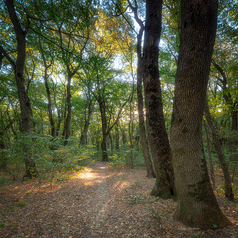 photo "***" tags: landscape, 