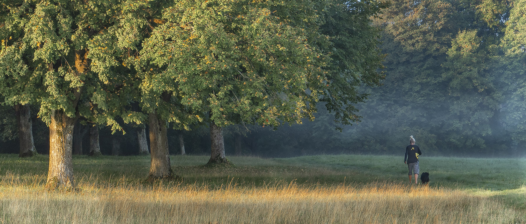 photo "***" tags: nature, genre, landscape, 