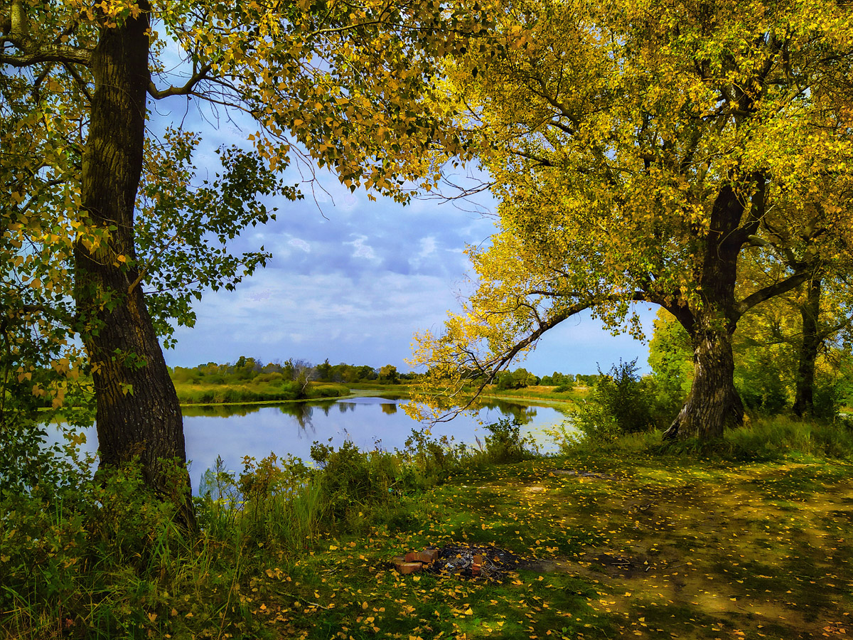 photo "***" tags: landscape, autumn, телефон