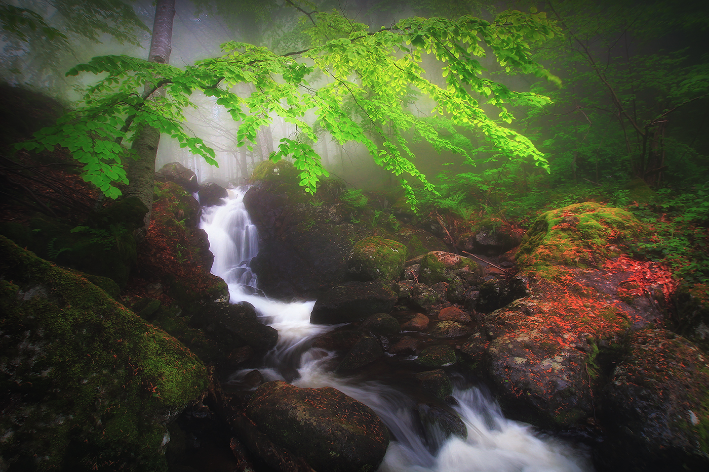 photo "***" tags: , 