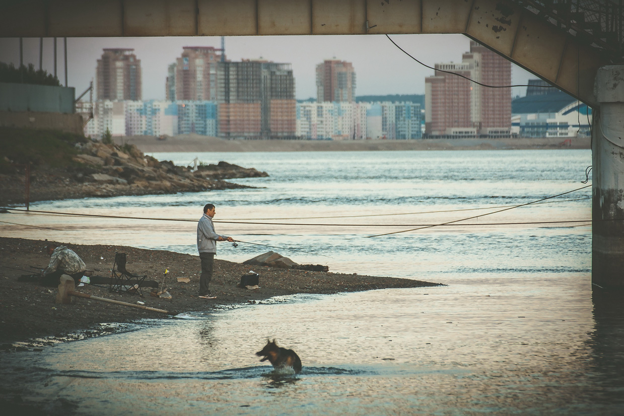 photo "вечерняя рыбалка" tags: misc., city, street, river, water, Амур, Хабаровск, рыбалка, собака