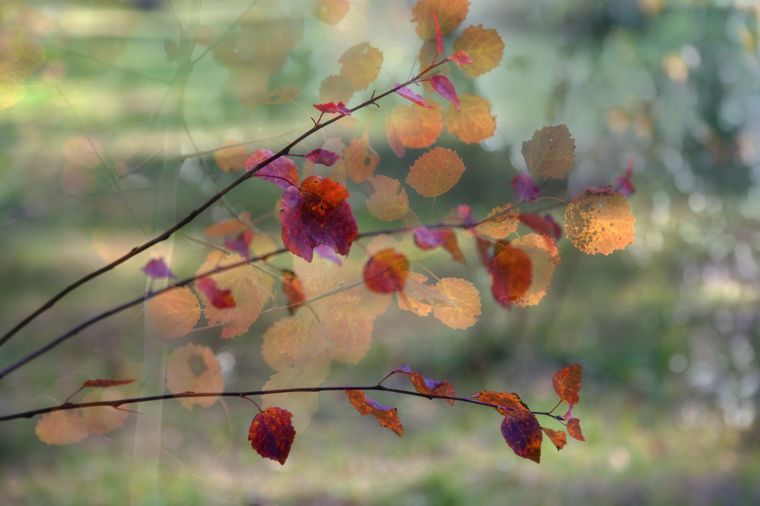 фото "***" метки: природа, 