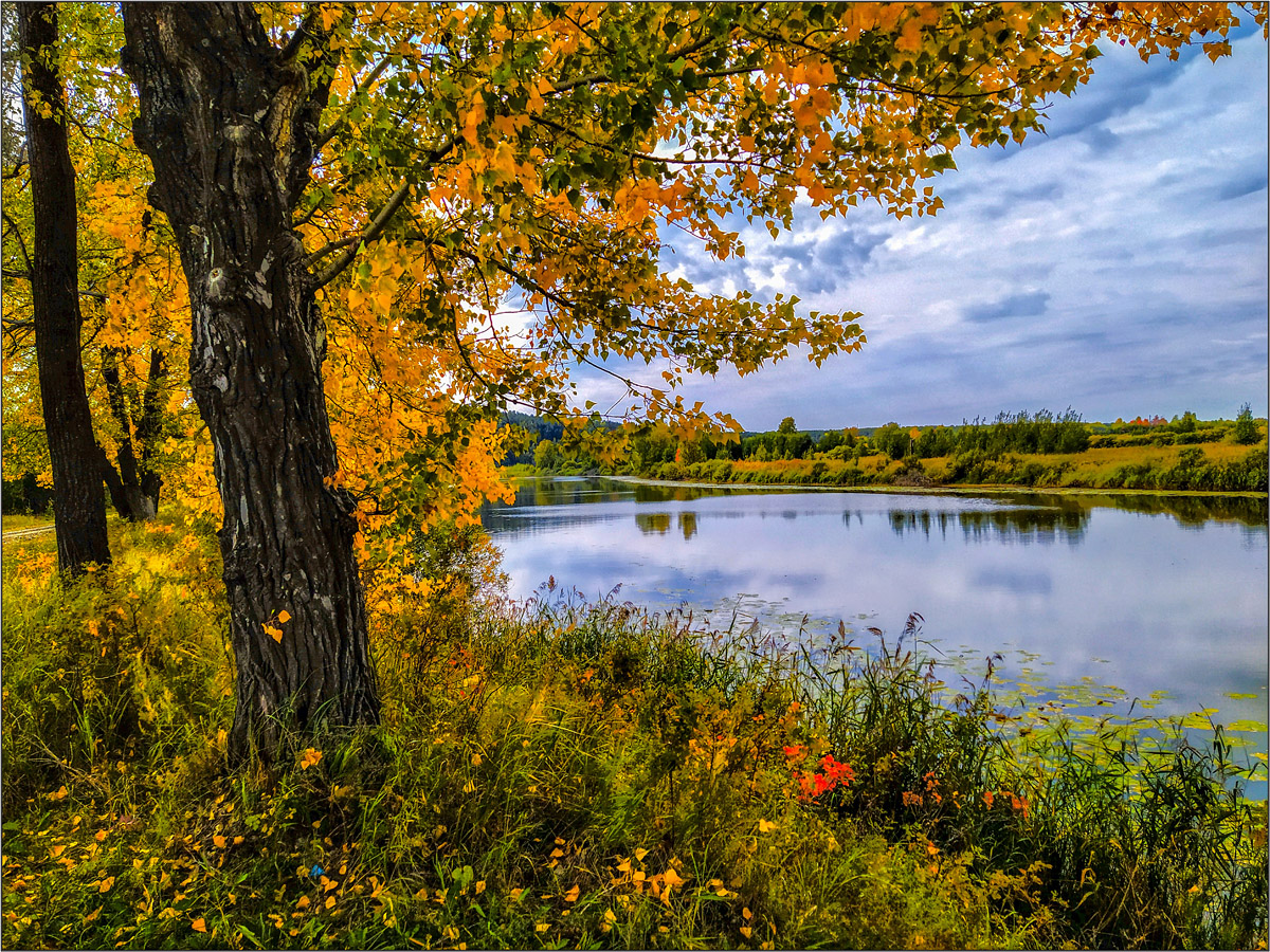photo "***" tags: landscape, 