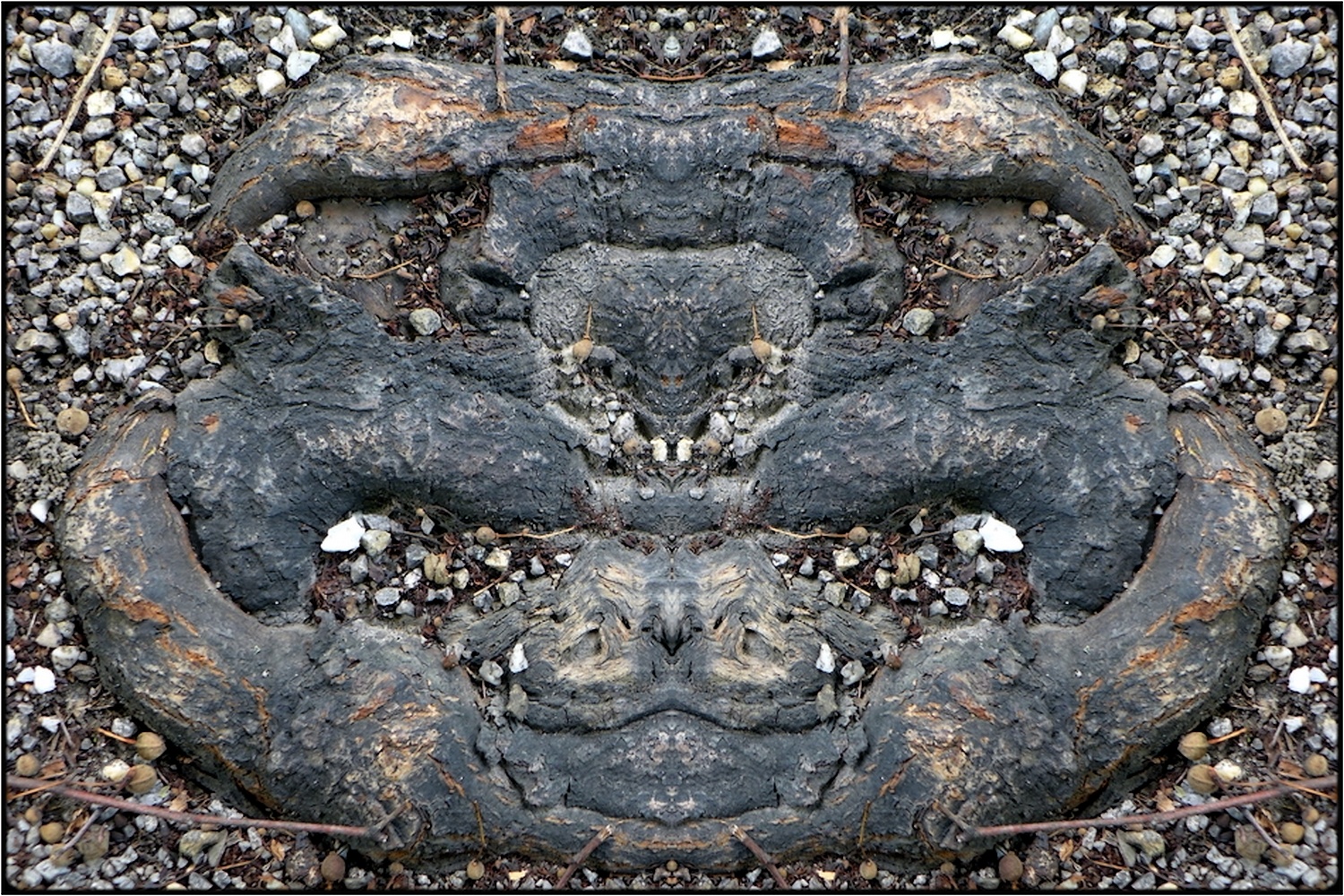 фото "ungeist (1)  -  evil spirit (1)" метки: digital art, природа, макро и крупный план, bark, close-up, mirror, root, tree