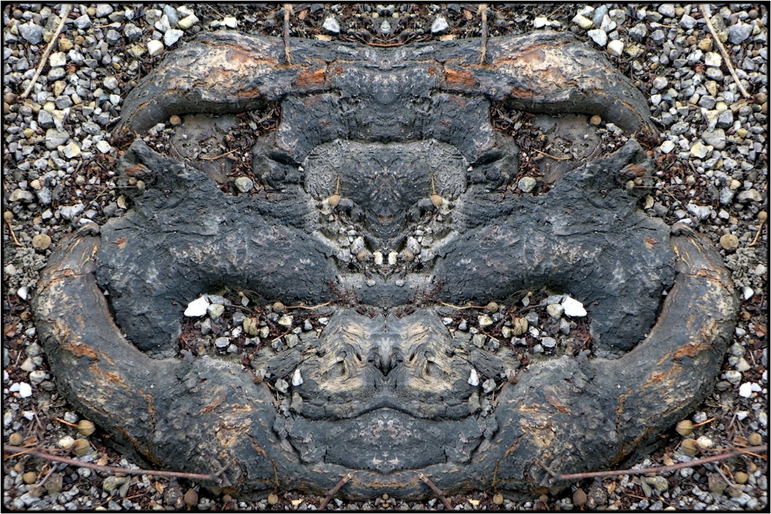 фото "ungeist (1)  -  evil spirit (1)" метки: digital art, природа, макро и крупный план, bark, close-up, mirror, root, tree