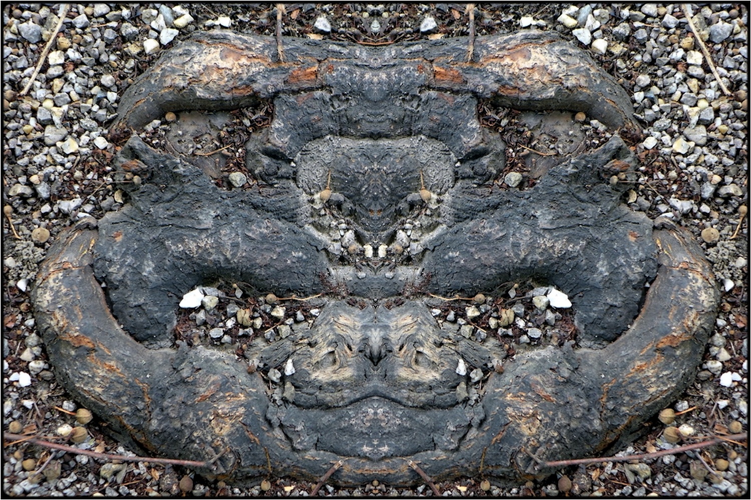 photo "ungeist (1)  -  evil spirit (1)" tags: digital art, nature, macro and close-up, bark, close-up, mirror, root, tree