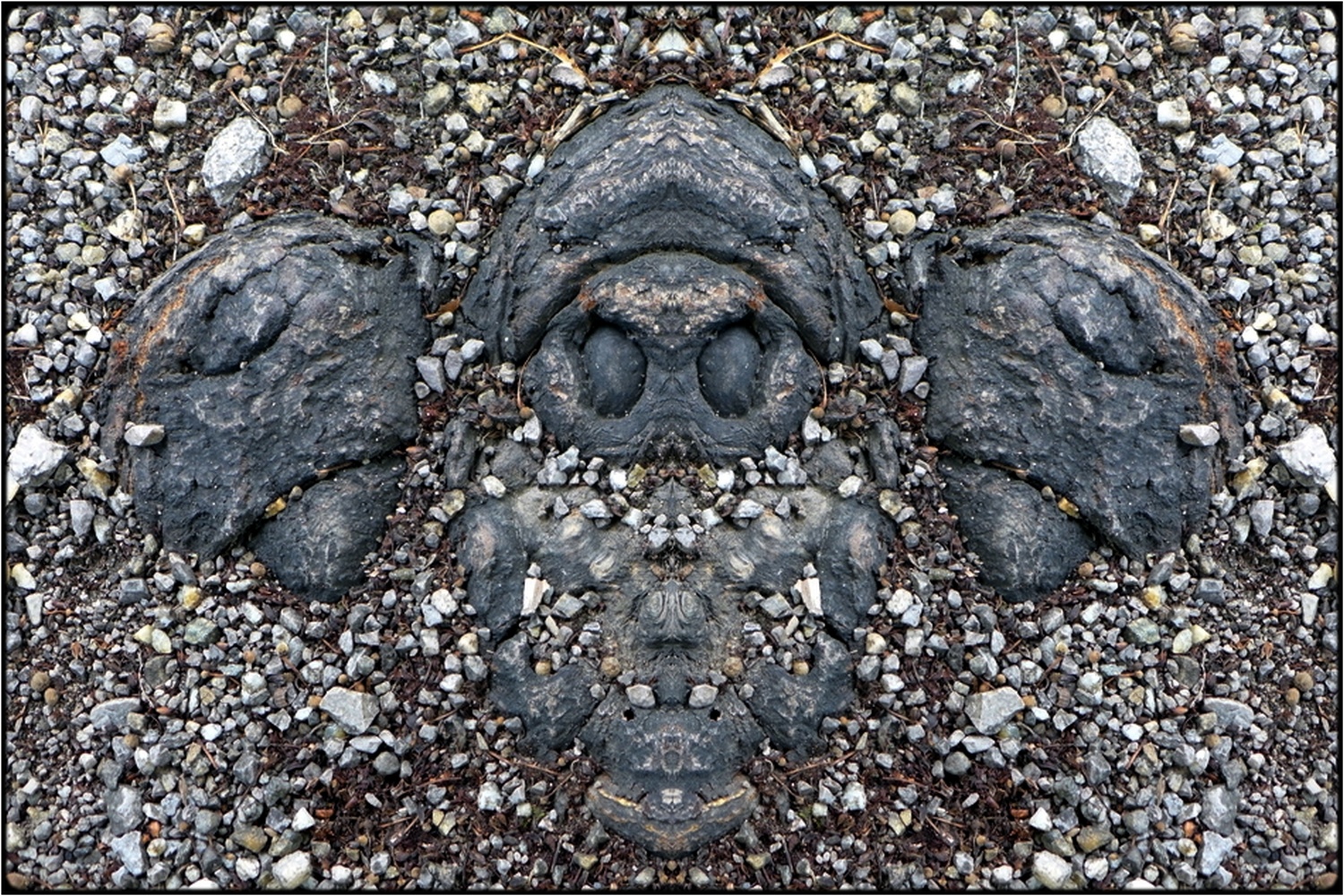 photo "ungeist (2)  -  evil spirit (2)" tags: digital art, nature, macro and close-up, bark, closeup, mirror, root