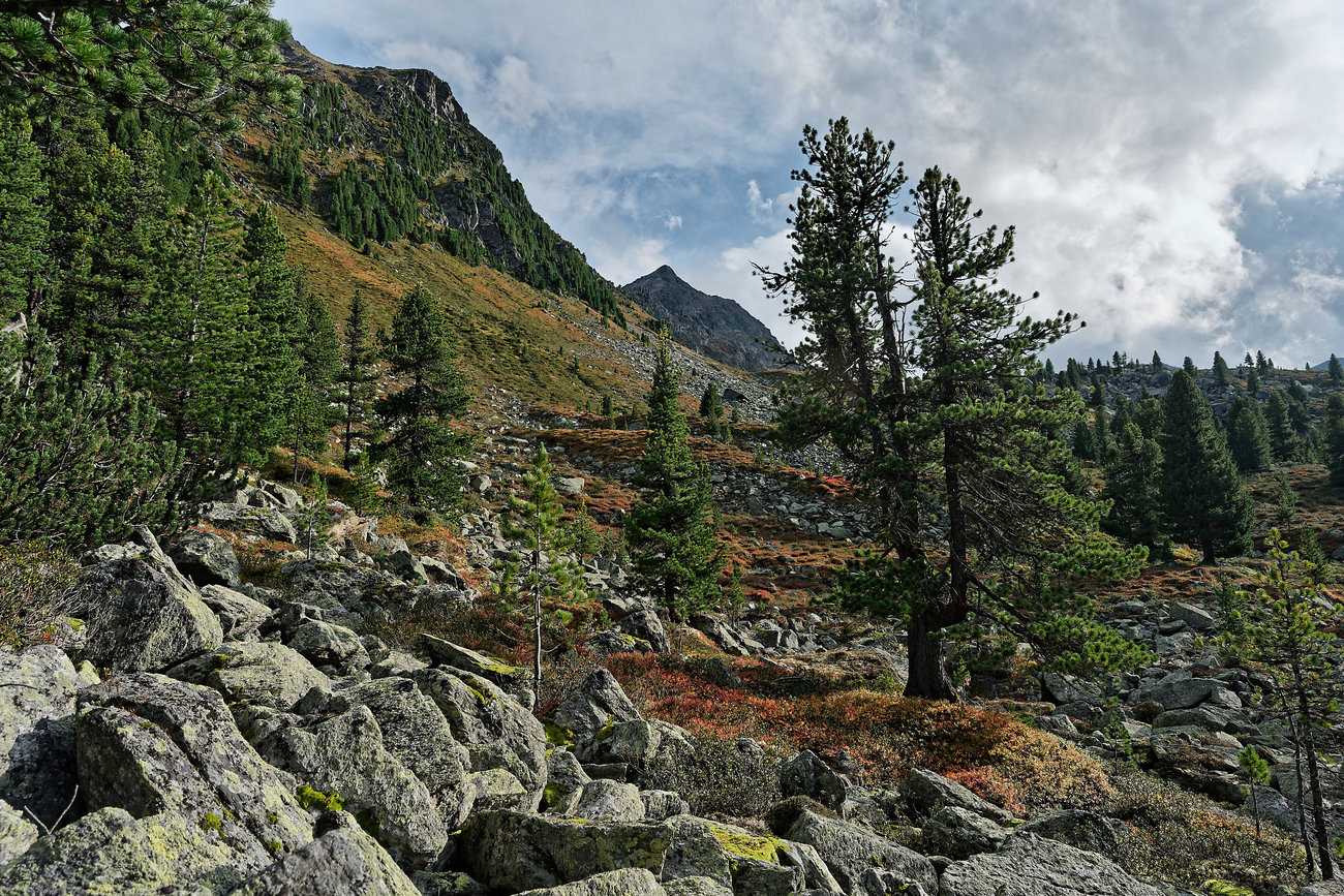 photo "Kuehtai" tags: landscape, Europe, autumn, mountains