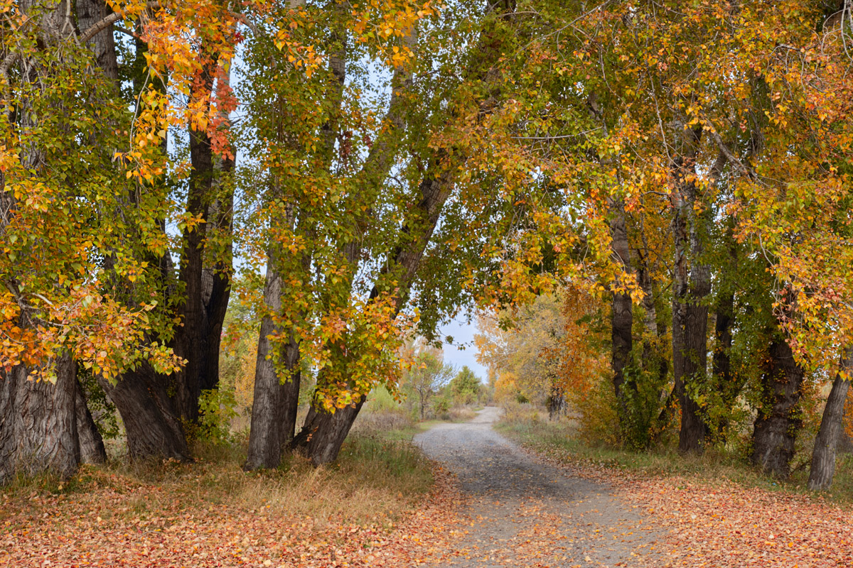 фото "***" метки: пейзаж, 