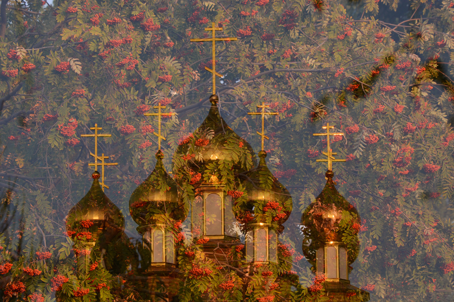 фото "Палехские мотивы." метки: разное, 