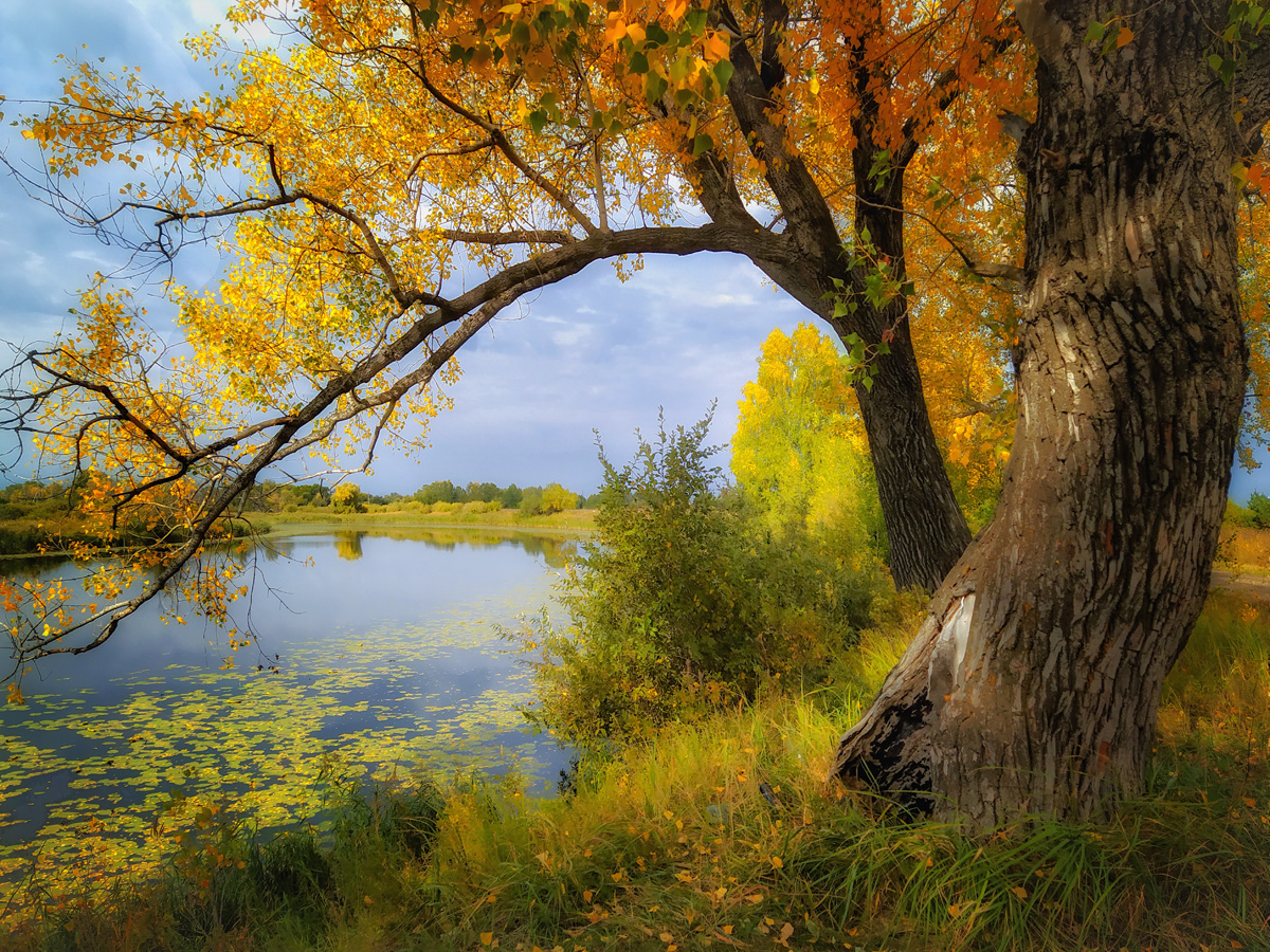 photo "***" tags: nature, landscape, 