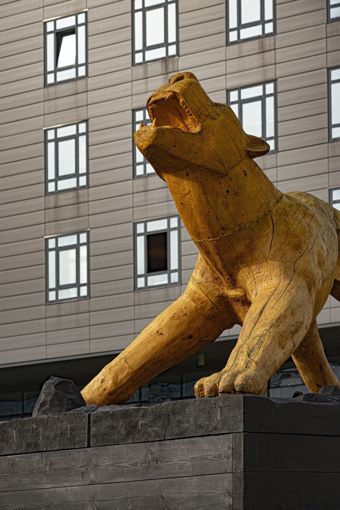 photo "The Wooden Lion" tags: city, 