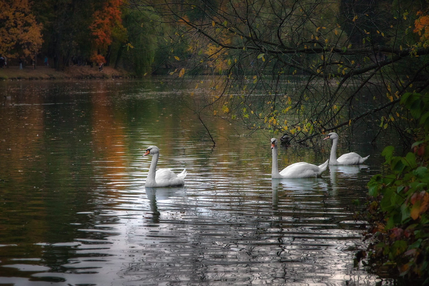 photo "***" tags: landscape, nature, 