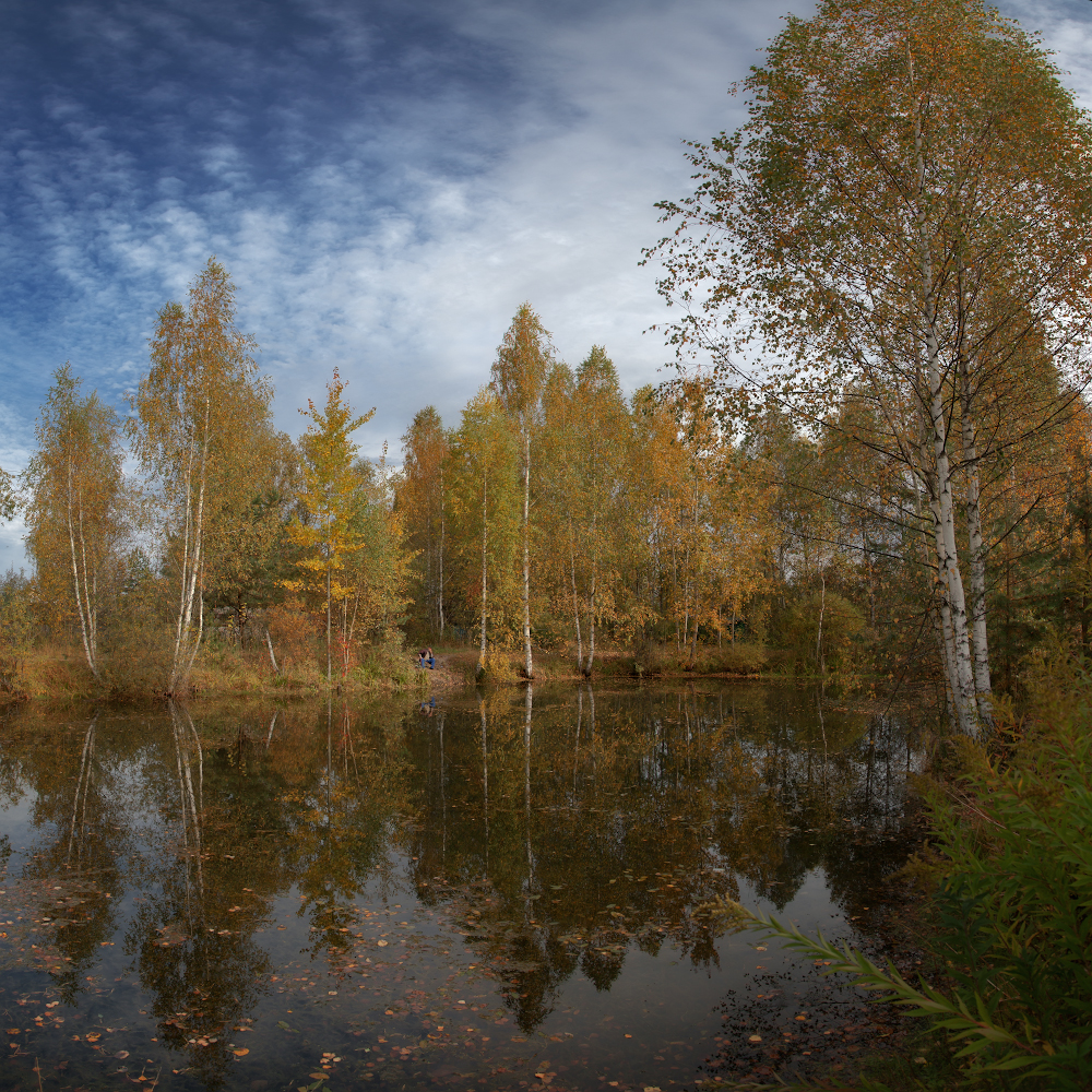 фото "Осенняя благодать" метки: пейзаж, 