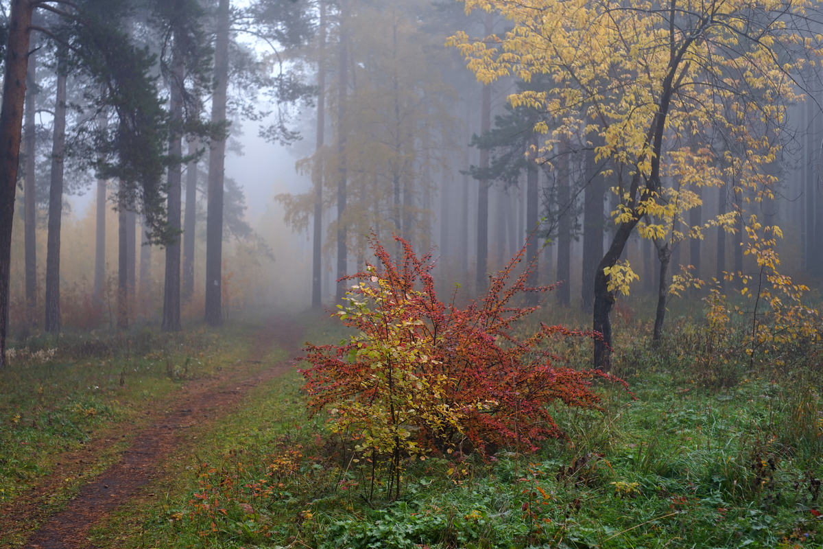 photo "***" tags: landscape, 