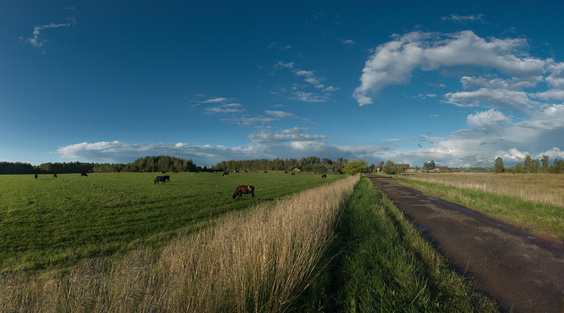 photo "***" tags: landscape, nature, 