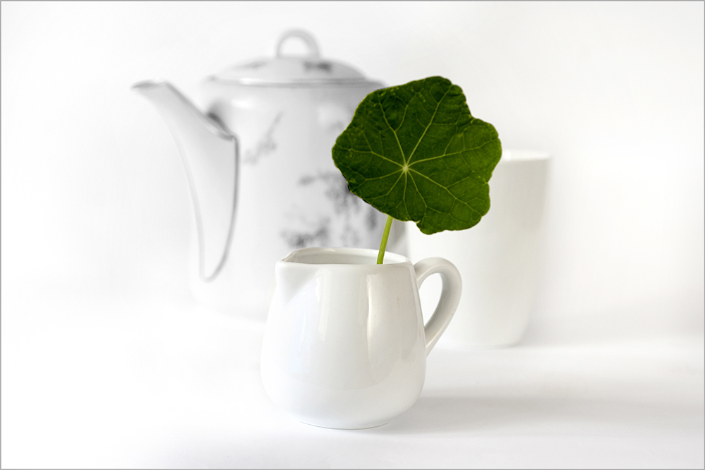 photo "***" tags: still life, 