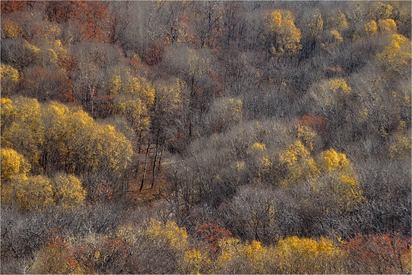 photo "***" tags: landscape, nature, 