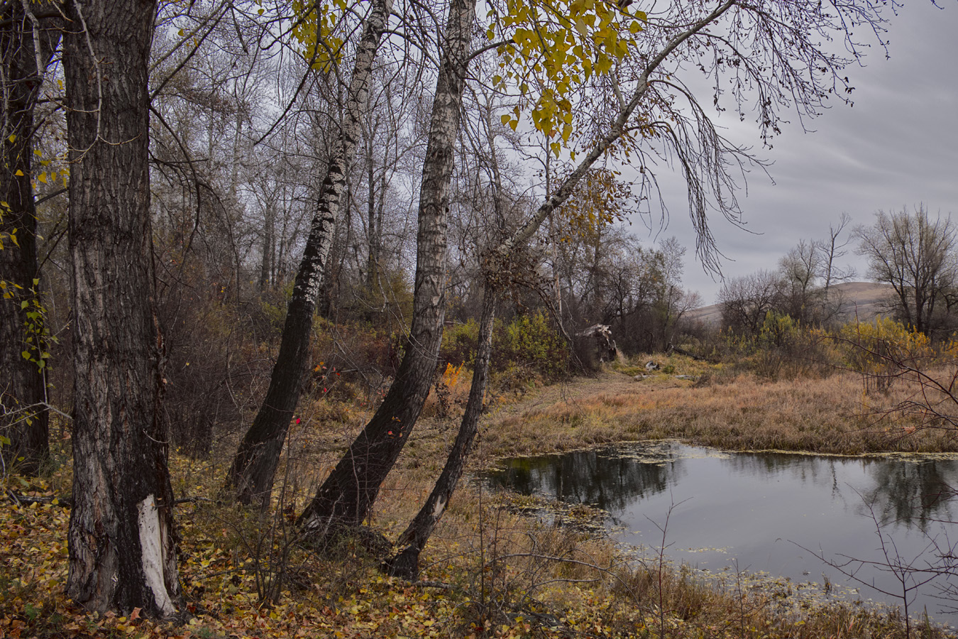 фото "*****" метки: пейзаж, природа, 