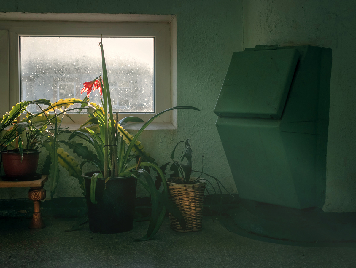 фото "***" метки: , 