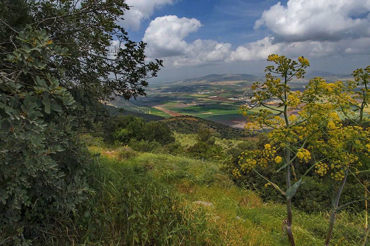 photo "***" tags: landscape, 