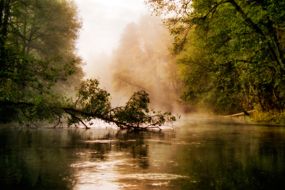 photo "***" tags: landscape, travel, Europe, autumn, forest, river, Литва, веринайс, гдеугодно, оченькрасиво, почтиШедевр, фантик