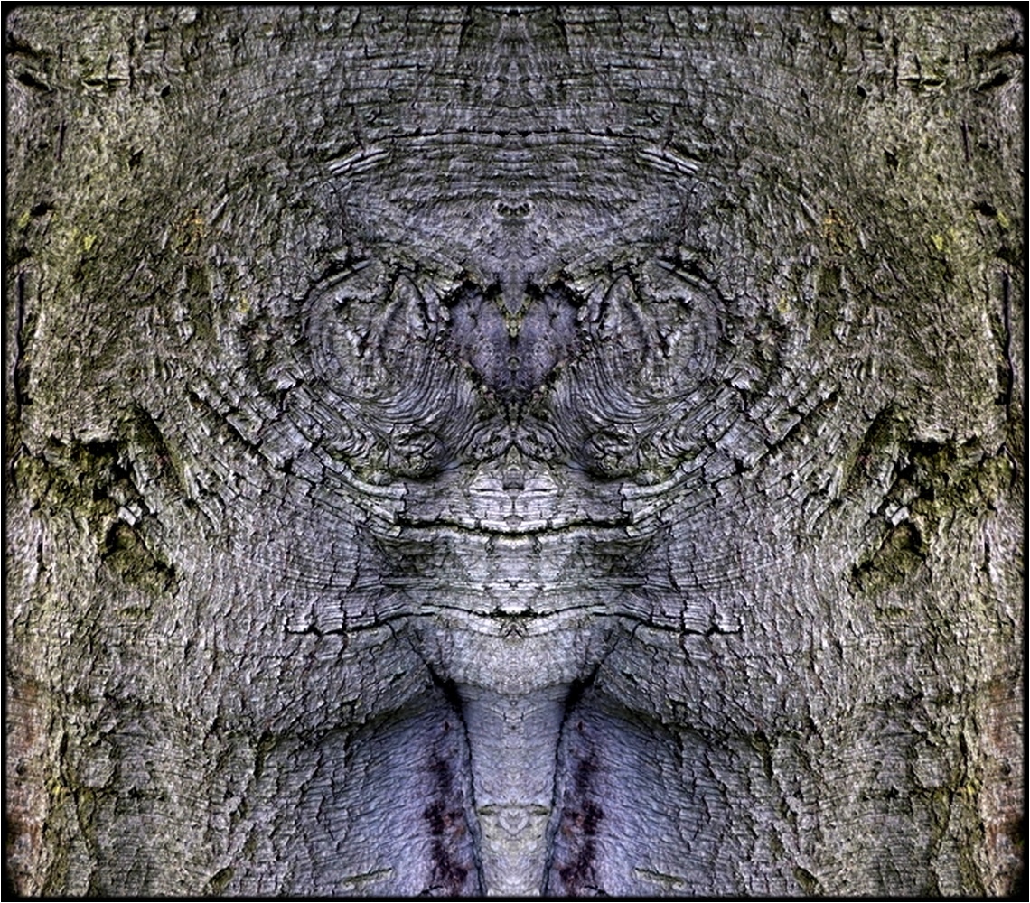 photo "owl face" tags: digital art, nature, macro and close-up, bark, close-up, mirror, tree