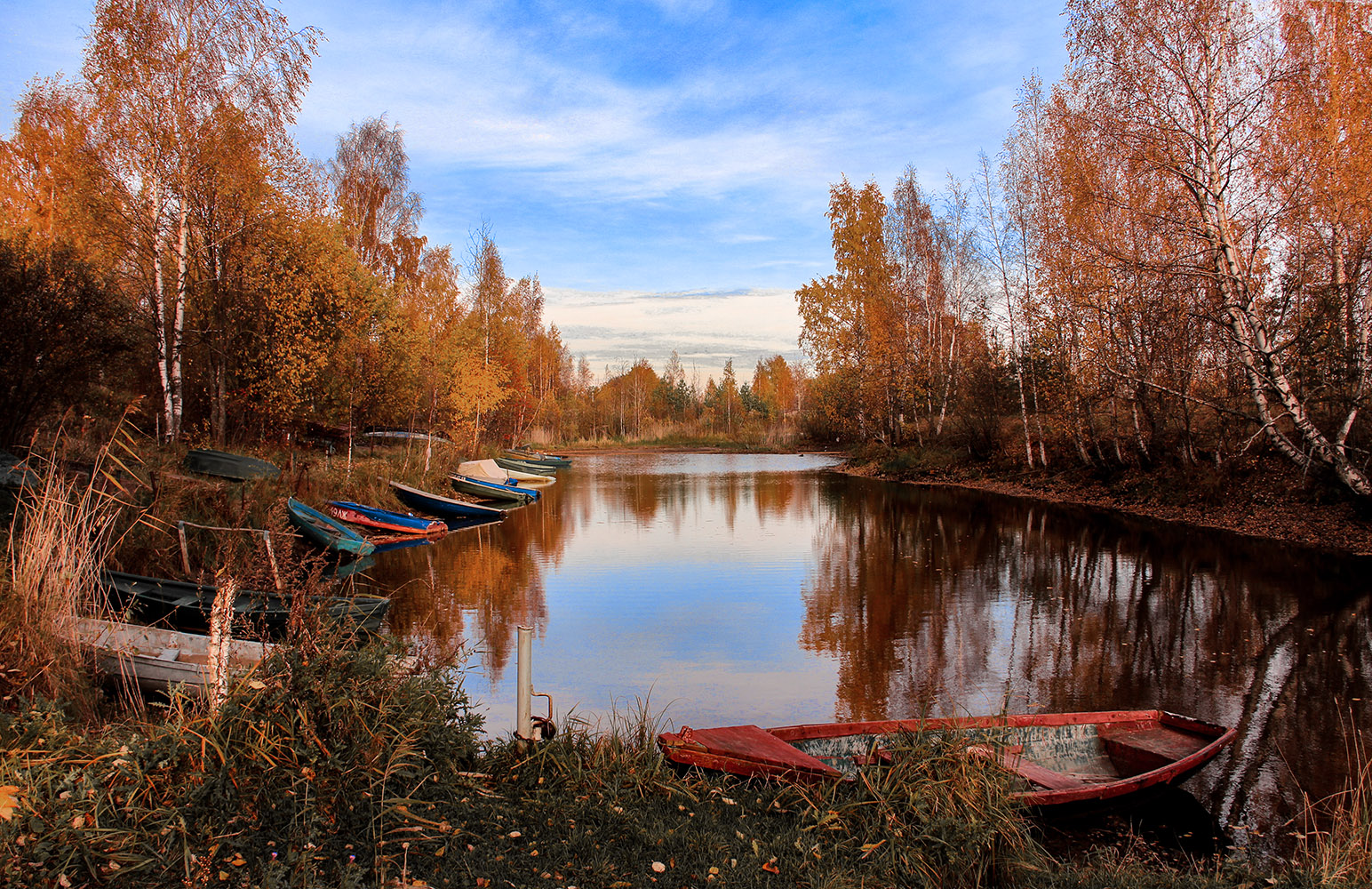 фото "Осень-рыжая подруга..." метки: , 