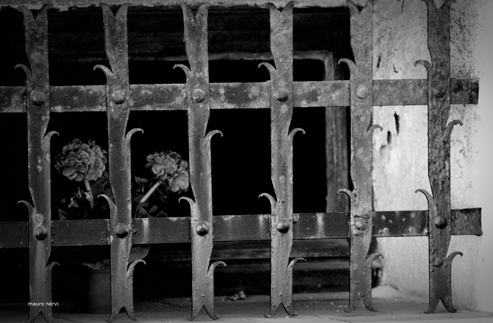 photo "prison" tags: black&white, 