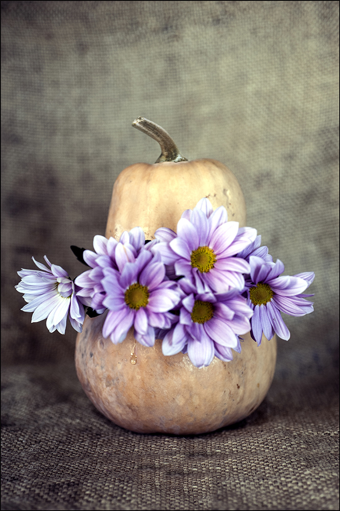 photo "***" tags: still life, 