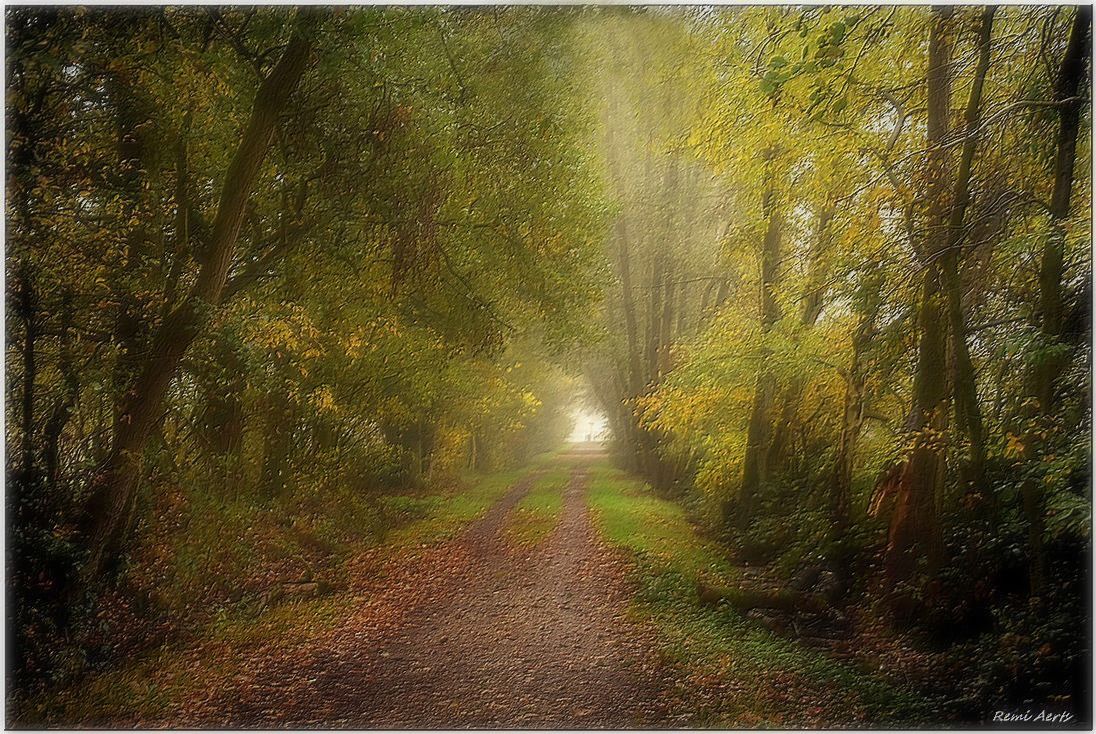 photo "***" tags: landscape, nature, 