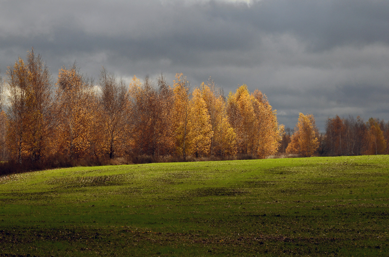 фото "Поля и перелески." метки: пейзаж, осень, перелески, поле, тучи