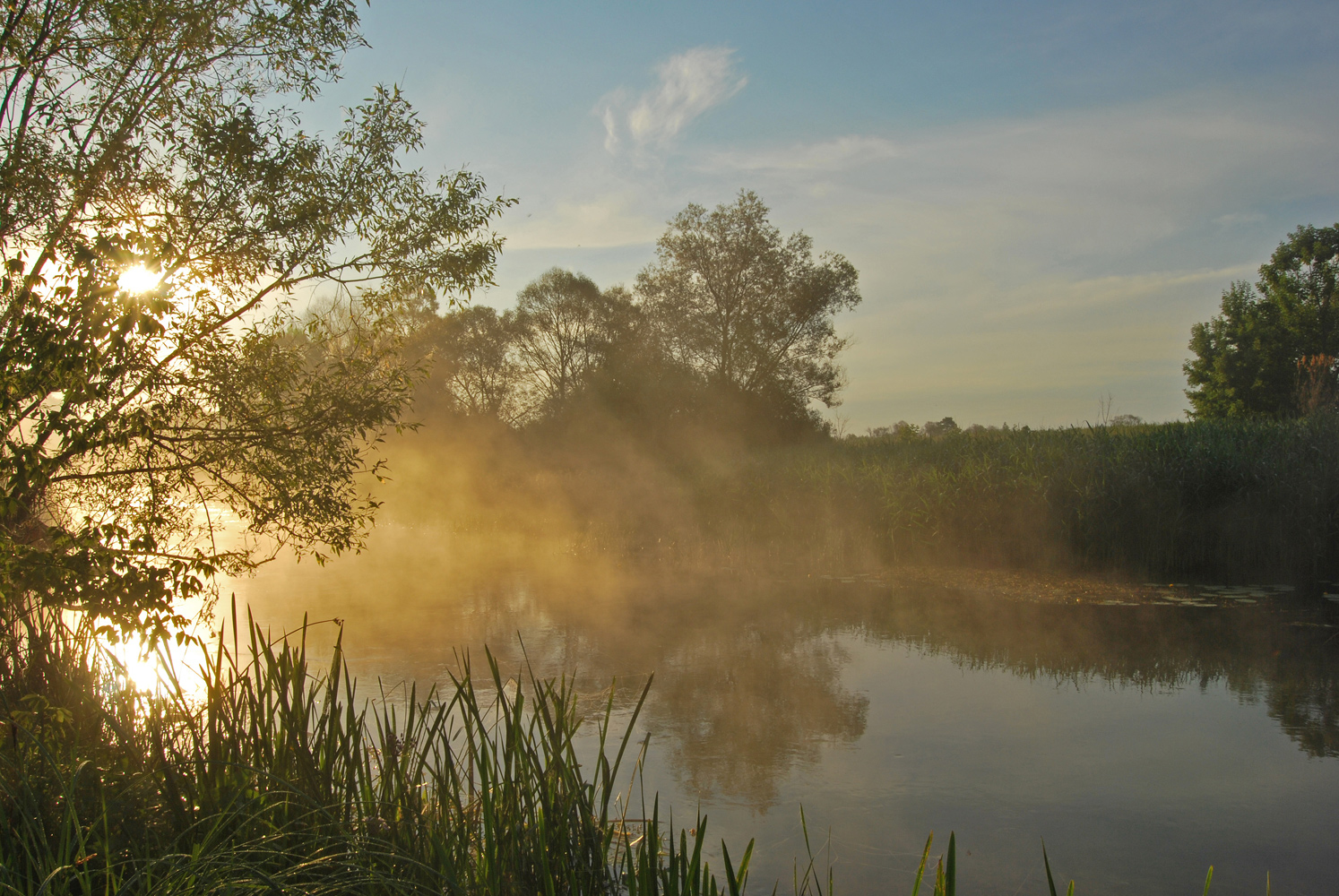 photo "***" tags: landscape, fog, morning, river, sunrise, Псёл