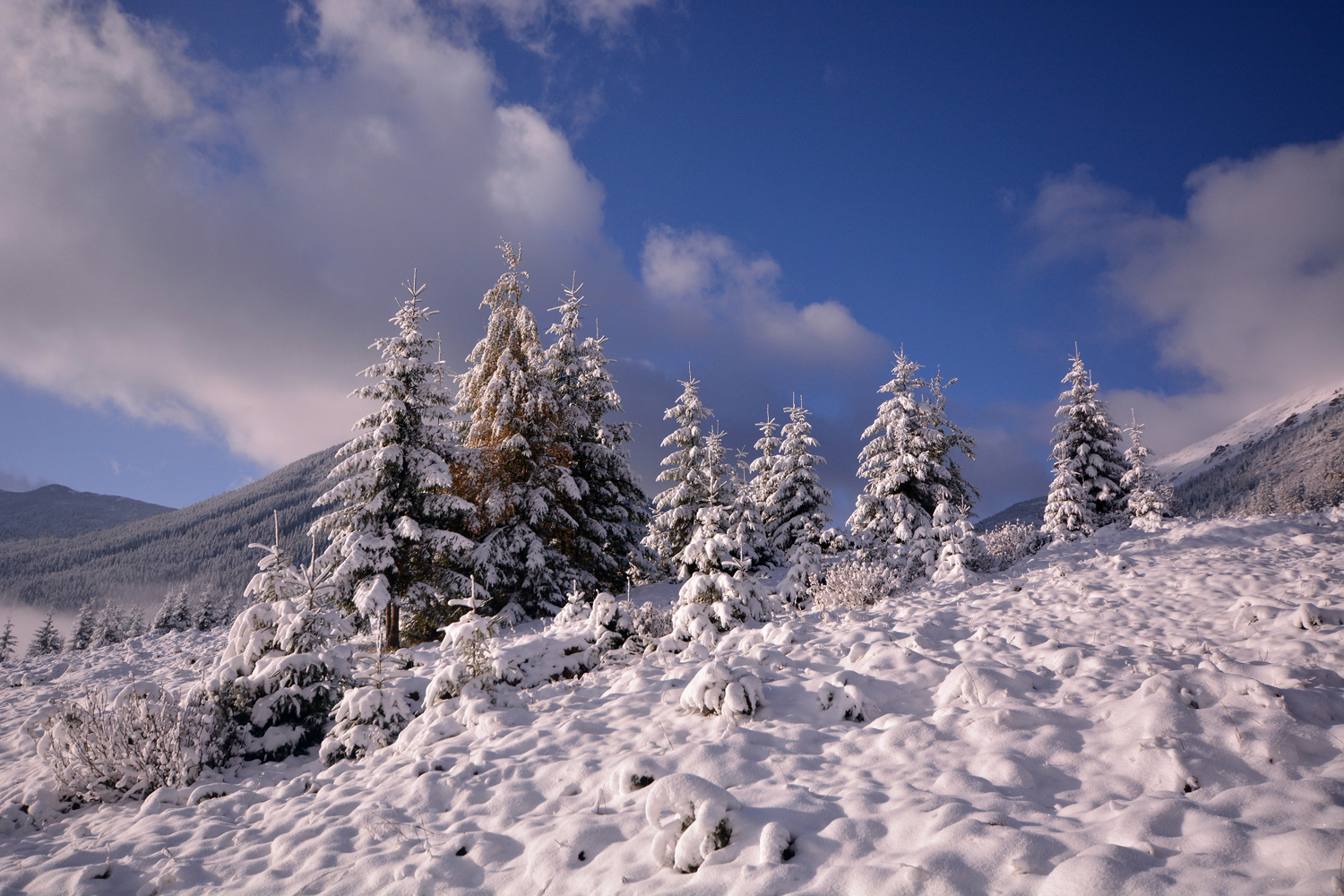 photo "***" tags: landscape, morning, snow, Карпаты