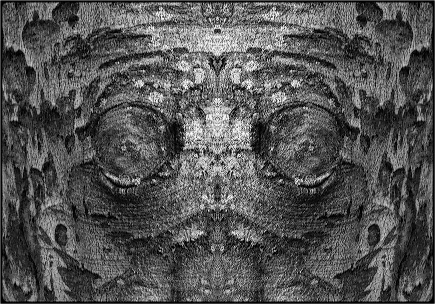 photo "the monster" tags: digital art, macro and close-up, nature, bark, close-up, mirror, tree