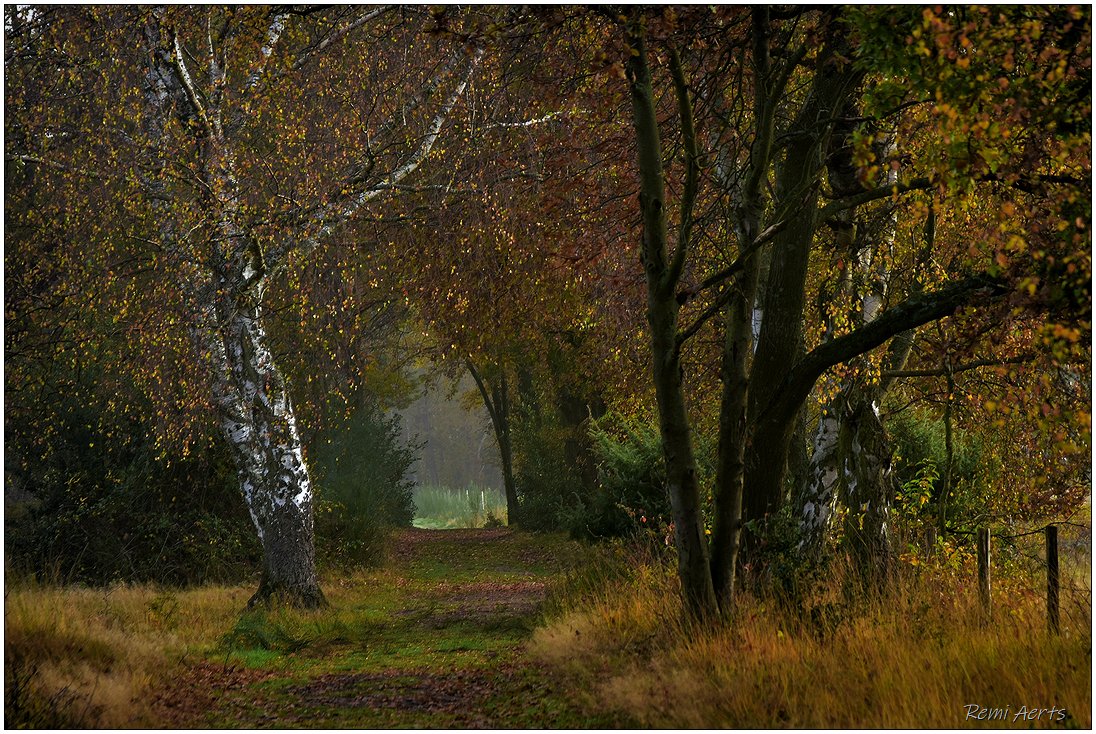 photo "***" tags: landscape, nature, 