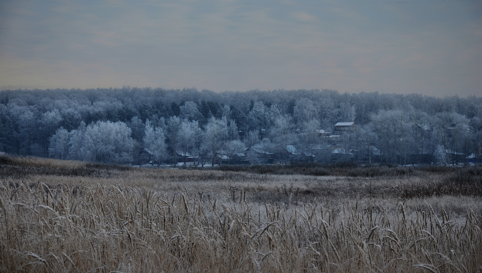 photo "***" tags: landscape, nature, 