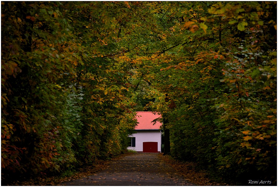 фото "***" метки: архитектура, природа, 