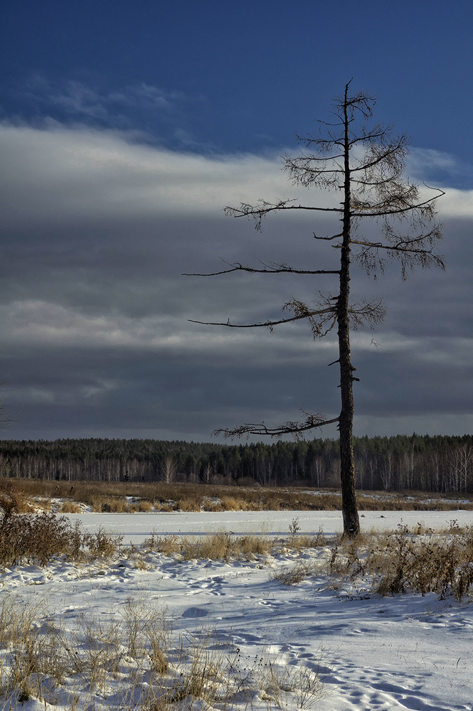 фото ""Где же шуба?"" метки: пейзаж, 