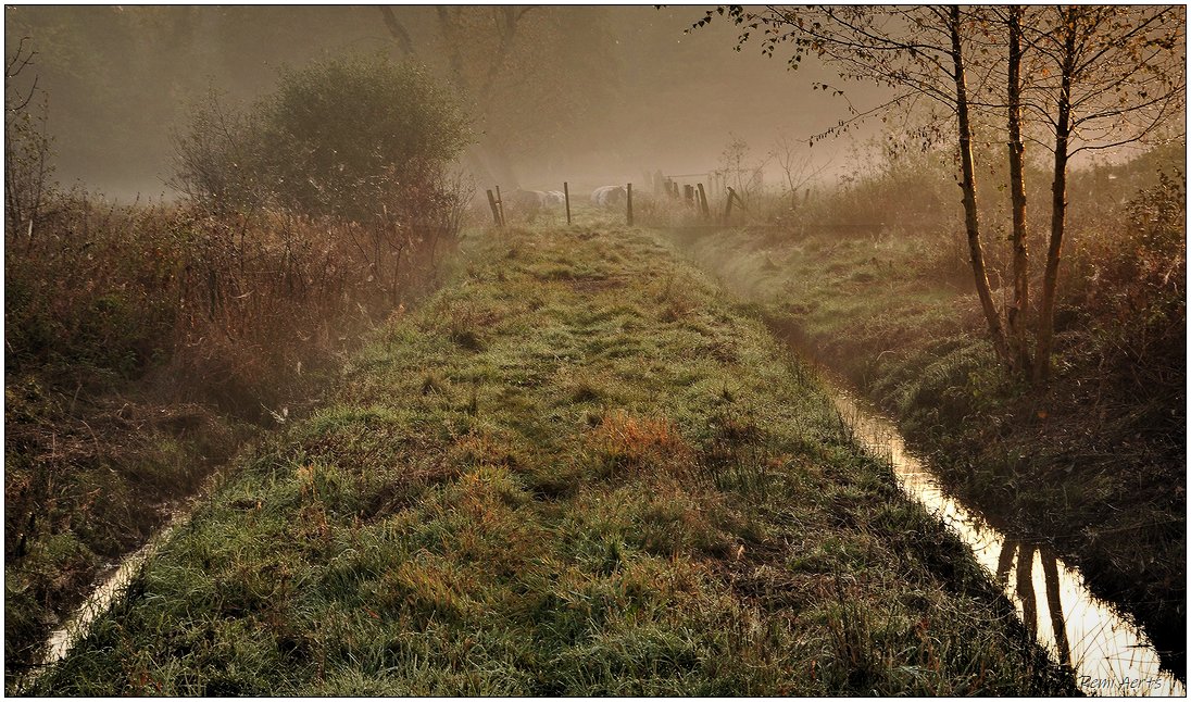photo "***" tags: landscape, nature, 