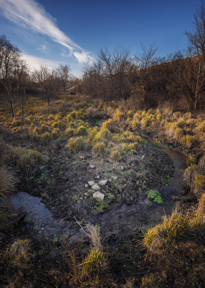 photo "Stream" tags: landscape, nature, clouds, grass, sky, деревья, ручей