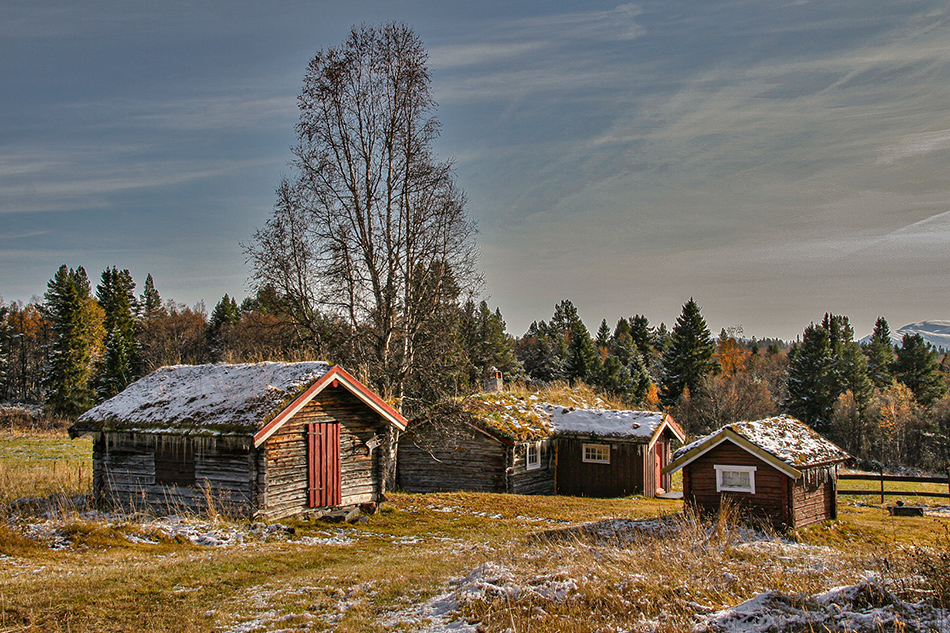 photo "autumn" tags: landscape, 