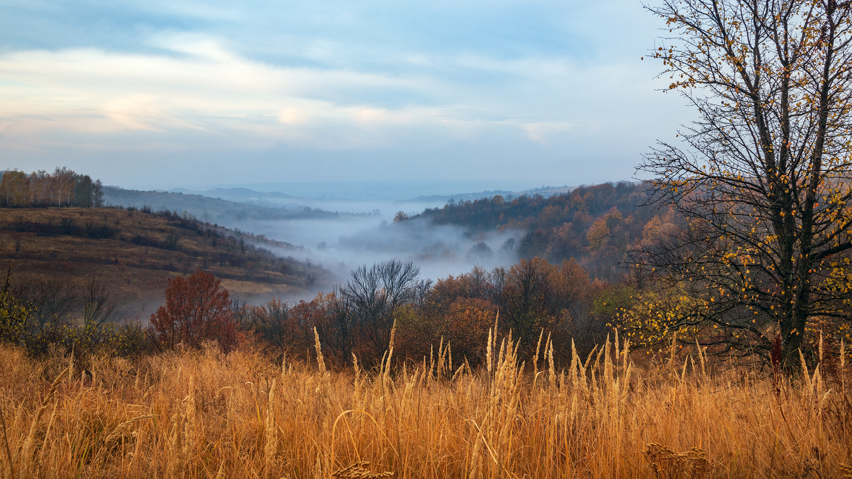 photo "***" tags: landscape, 