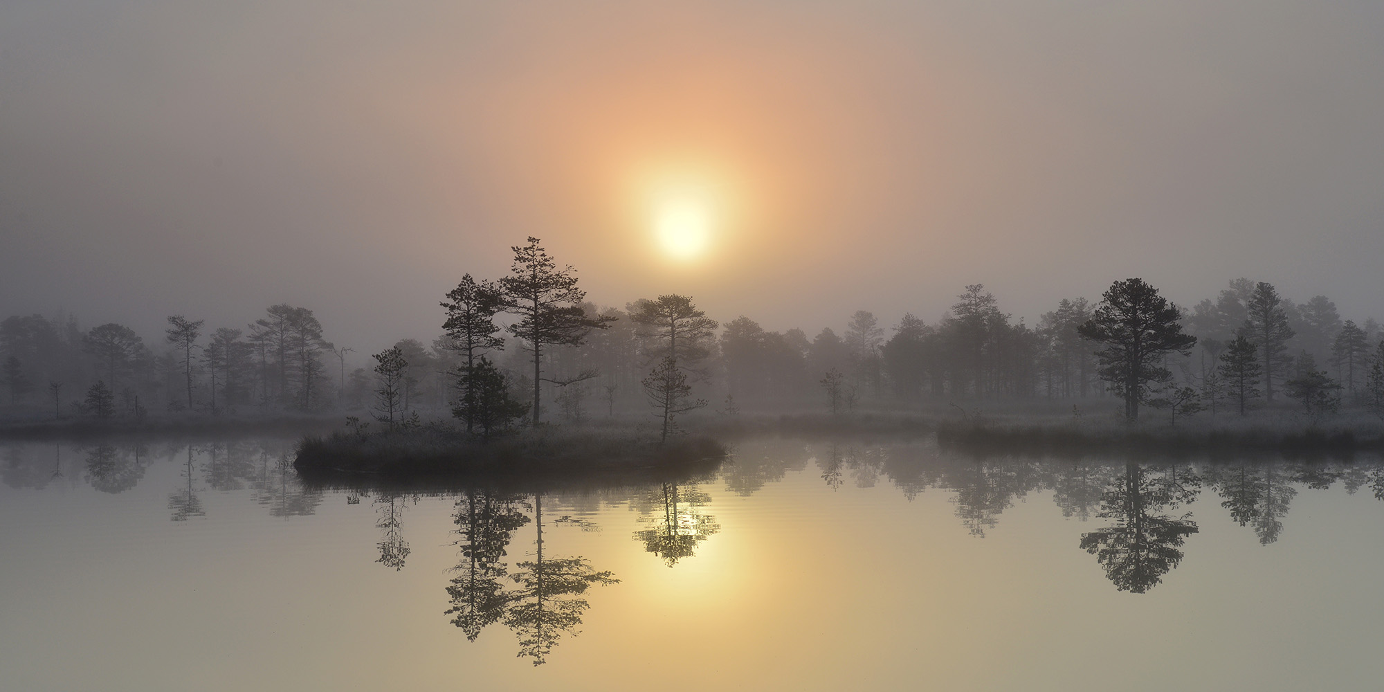 photo "Silence" tags: landscape, nature, bog, sunrise